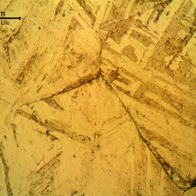 Micrographic detail of the intergranular morphology of the cracking, adjacent to the fracture surface, in the starting point of the failure.