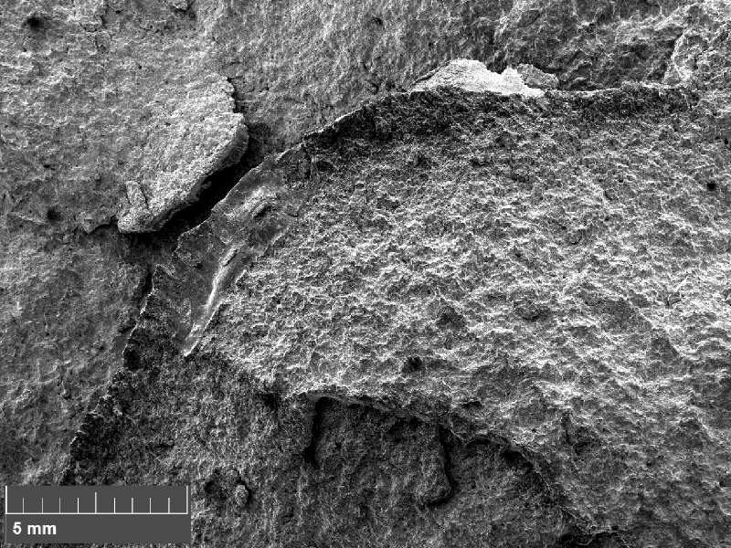 Scanning electron fractography in low magnification (originally 15x), showing the flat fracture surface with steps and secondary cracks.