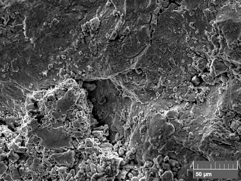 Scanning electron fractography (originally 1000x), showing details of the zinc deposits at the fracture surface.