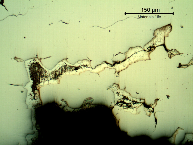 Micrographic detail of the branch cracking parallel to the fracture, as polished, showing that the cracks are filled with zinc.