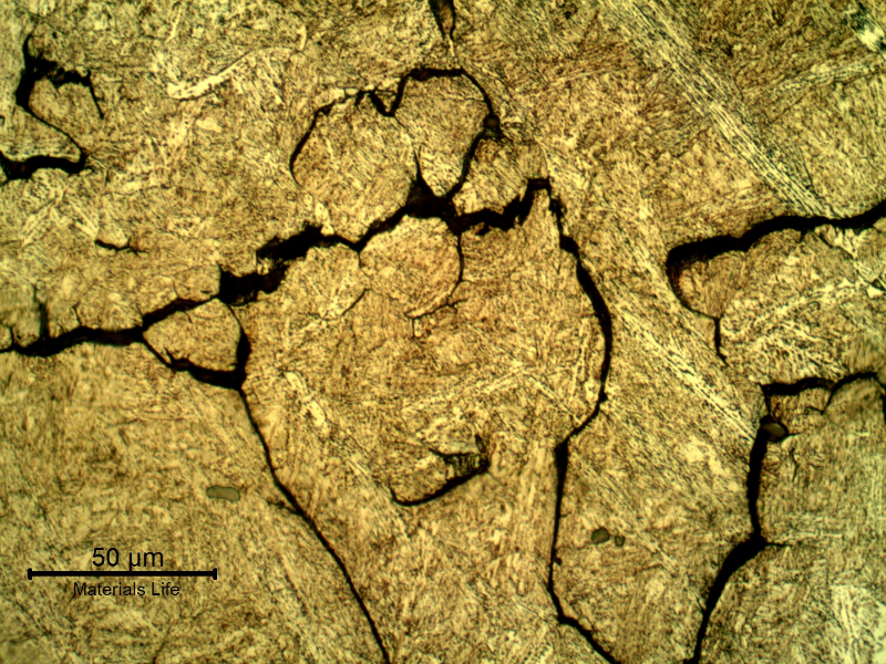 Micrographic detail of the intergranular cracks.