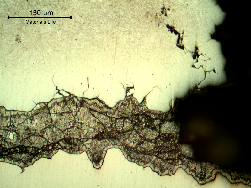 Micrography of the branch cracking parallel to the fracture. There are several secondary intergranular cracks and the cracks are filled with zinc. The zinc appears dark because of the Nital etch, and the steel is not fully revealed because of the protection by the zinc.