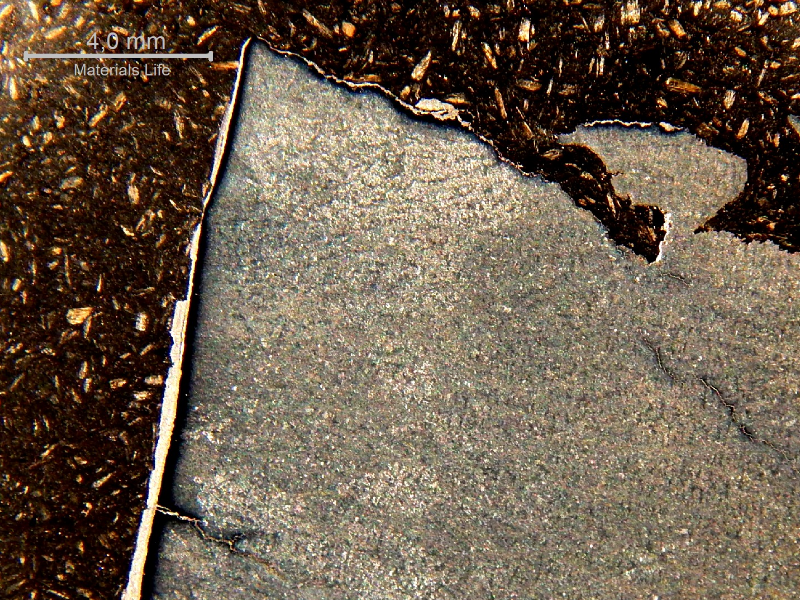 Macrography of a section transverse to the fracture, at the surface of the casting. It is possible to see the large thickness of the galvanized layer at the surface (left side of the figure). There is a white layer over the fracture surface (top of the figure) and branch cracks starting from the surface, parallel to the fracture (in the bottom left side of the figure).