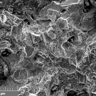 Scanning electron fractography (originally 500x), showing intergranular aspects in the fracture surface.