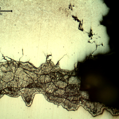 Micrography of the branch cracking parallel to the fracture. There are several secondary intergranular cracks and the cracks are filled with zinc. The zinc appears dark because of the Nital etch, and the steel is not fully revealed because of the protection by the zinc.