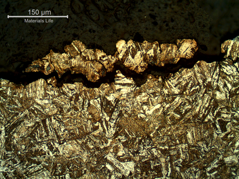 Micrography of a longitudinal section of the bolt, at the fracture (top of the figure), in the middle of the thickness.  The fracture is macroscopically flat and most part of it is intergranular.