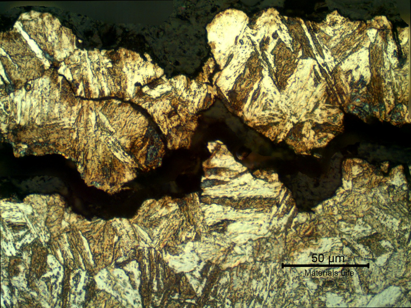 Micrography of a longitudinal section of the bolt, at the fracture (top of the figure), in the middle of the thickness.  The fracture is macroscopically flat and there are some regions that present a transgranular morphology of the fracture.