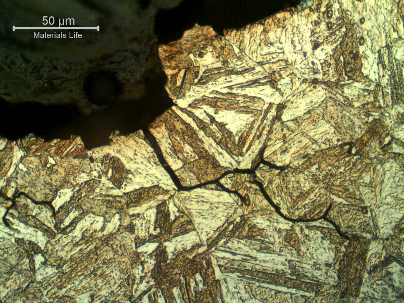 Micrographic detail of the transgranular morphology of the fracture at the final position.