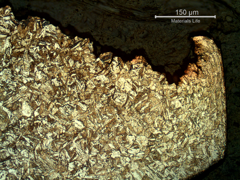 Micrography of a longitudinal section of the bolt, at the final fracture position. The morphology of the cracks became transgranular.