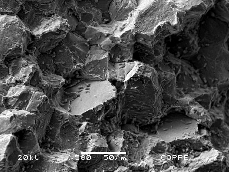 Fractographic aspect by scanning electron microscopy, in the center of the broken bolt, presenting transgranular fracture micromechanism.