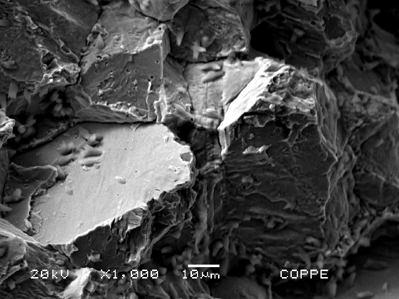 Fractographic detail of the transgranular fracture micromechanism, brittle.