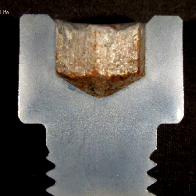 Macrography of the longidutinal section of a non broken allen bolt, at the threaded body to bolt head transition.  The granular structure is different through the bolt, with refined structure in the threaded body and coarse at the transition.