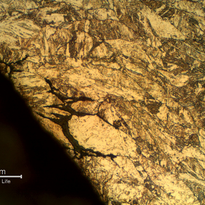Micrographic detail of the intergranular cracks in the transition between the threaded body and the head of the non broken bolt, indicating that this bolt was also embrittled and could fail soon.