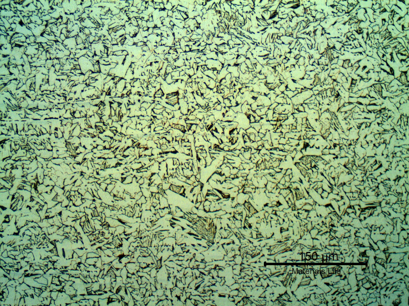Micrography of the pipe transverse section presenting a predominatly ferritic-perlitic microstructure.