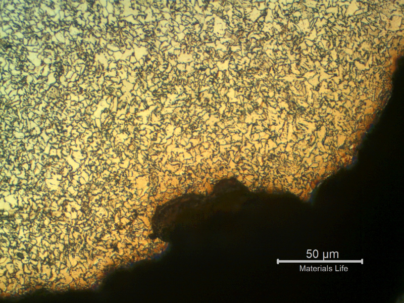 Micrographic detail of the microstructure at the margin of the corroded area showing the heat affected zone of the autogenous weld, with a refined grain size.
