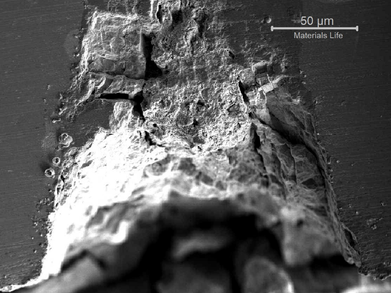 Micrography at the scanning electron microscopy showing the deposits inside the crevice. The microanalysis by EDS revealed the presence of Fe, O, as well as Cl and S.