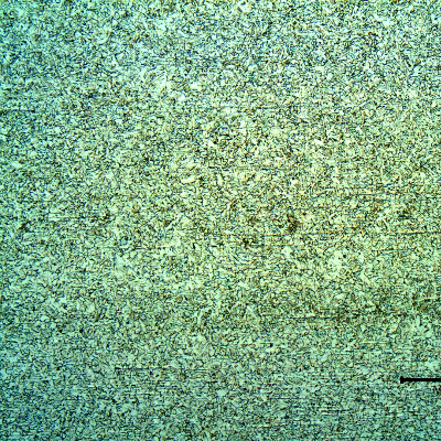 Micrography of the pipe transverse section presenting a granular microstructure.