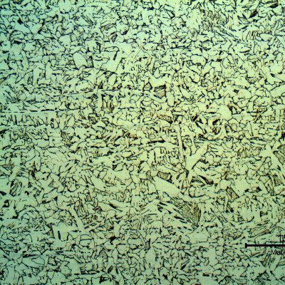 Micrography of the pipe transverse section presenting a predominatly ferritic-perlitic microstructure.