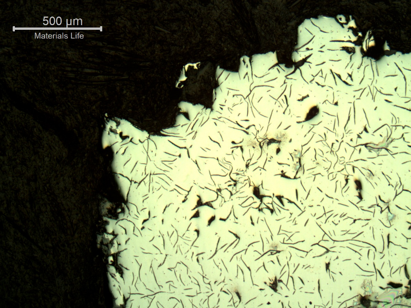 Micrographic aspect, as polished, of the cast cylinder section at the fracture position (top of the figure), close to the internal surface (left side).  It is possible to see large graphite flakes.