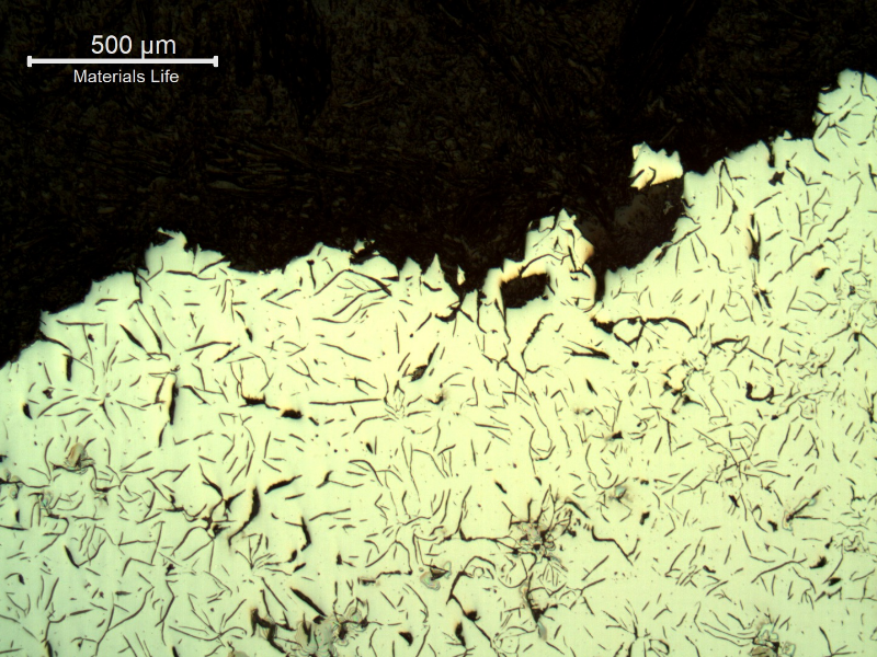 Micrographic aspect, as polished, of the cast cylinder section at the fracture position (top of the figure), in the center of the thickness.  It is possible to see a mixture of large graphite flakes and rosette grouping flakes.