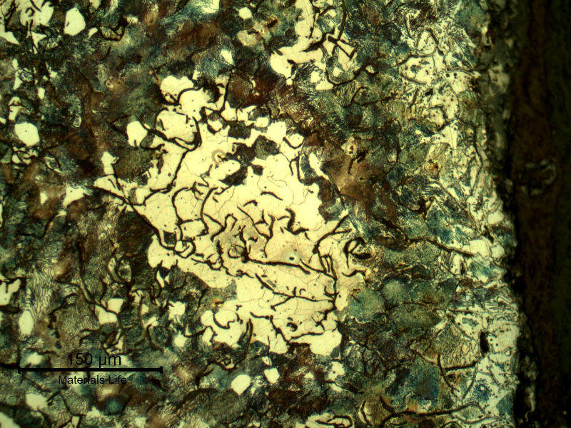 Micrography of the longitudinal section of the cylinder, at the external diameter (right side of the figure), presenting smaller interdendritic graphite flakes in a ferritic-perlitic matrix. This surface is painted.