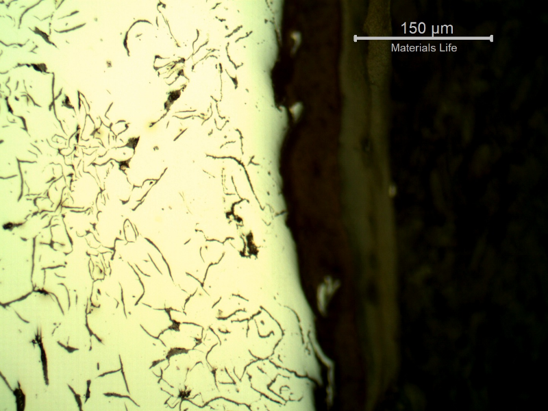 Micrography of the painted external surface of the cast cylinder.