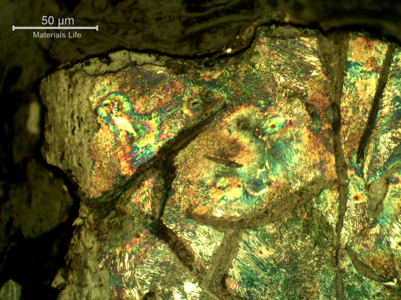 Micrographic detail of the cast cylinder section at the fracture position (top of the figure), close to the internal surface (left side), presenting the thick oxide layer at the internal surface and penetrating in the large graphite flakes, corroding the matrix and easily interconnecting the flakes with a localized effect as a notch.