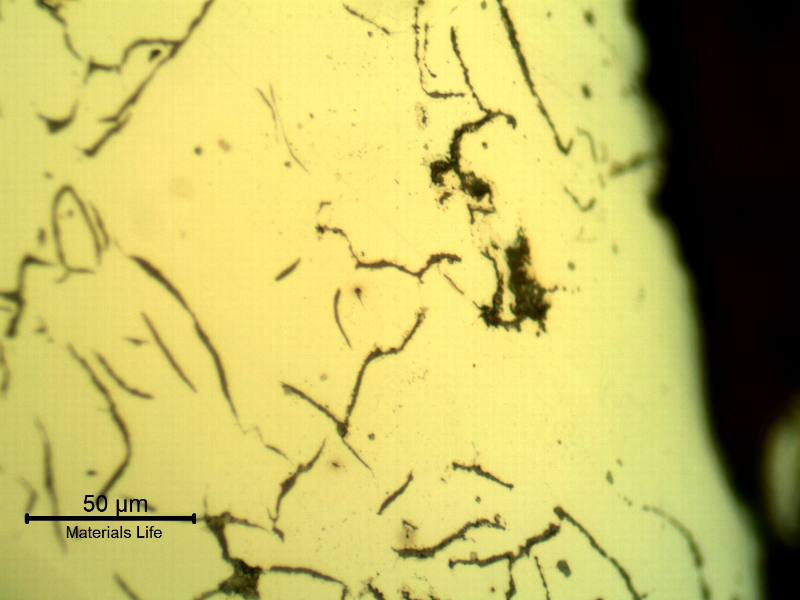 Micrographic detail of the painted external surface of the cast cylinder.