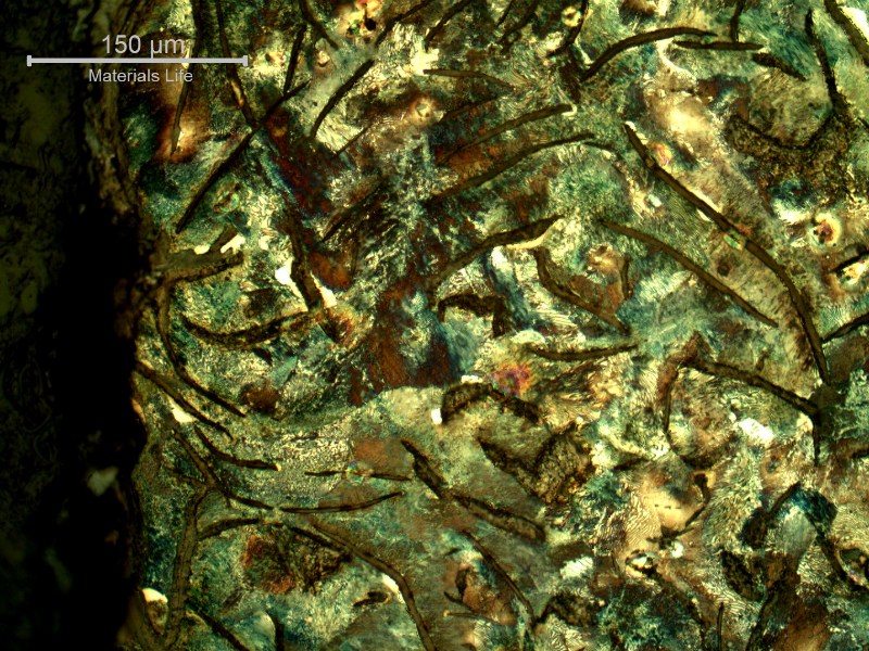 Micrography of the longitudinal section of the cylinder, at the internal diameter, in contact with the treated cooling water, presenting large graphite flakes in a predominatly perlitic matrix. It is important to mention that the flakes are almost interconnecting themelves.
