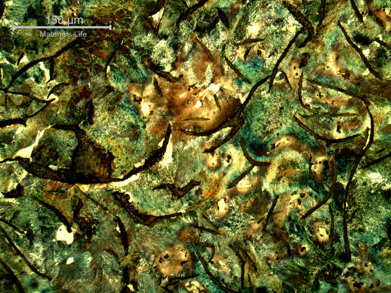 Micrography of the longitudinal section of the cylinder, in the center of the thickness, presenting large graphite flakes in a predominatly perlitic matrix. There are also ferritic regions.
