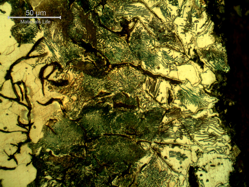 Micrography of the longitudinal section of the cylinder, at the external diameter (right side of the figure), presenting smaller interdendritic graphite flakes in a ferritic-perlitic matrix. It is also possible to see free carbides (cementite) very close to the cylinder surface (less than 50 microns), associated to positions of graphite. This surface was painted.