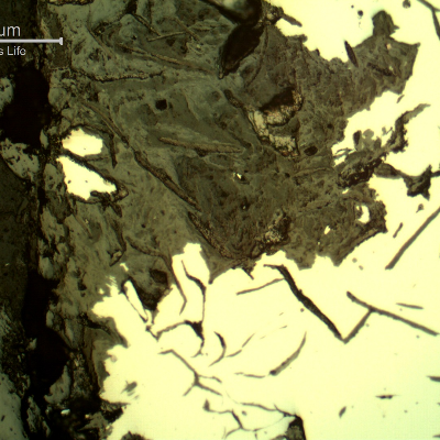 Micrography of the corroded surface of the cast cylinder, with 0.5 mm penetrations, showing that the graphites are interconnected and create a notch morphology, critical for a material that presents 1% ductility.