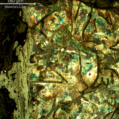Micrographic detail of the cast cylinder section at the fracture position (top of the figure), close to the internal surface (left side).  It is possible to see a thick oxide layer at the internal surface, characteristic of 10 years operating with treated water, and the large graphite flakes interconnecting.