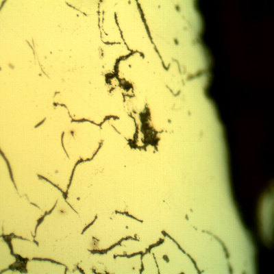 Micrographic detail of the painted external surface of the cast cylinder.
