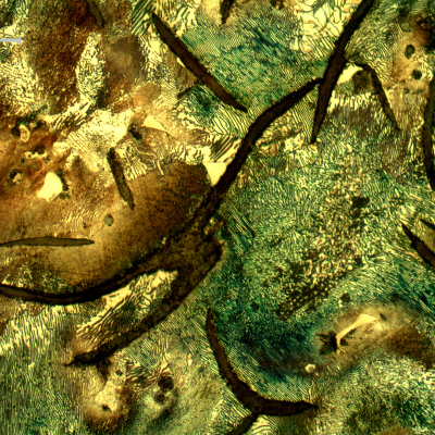 Micrography of the longitudinal section of the cylinder, in the center of the thickness, presenting large graphite flakes in a predominatly pearlitic matrix.
