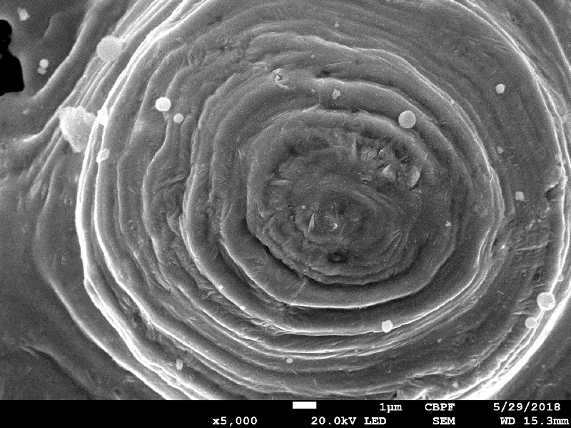 Detailed aspect of the plate surface where there was the bullet impact, by scanning electron microscopy, showing that the bullet has melted and solidified on the surface. The EDS analysis showed Pb-Sb peaks.