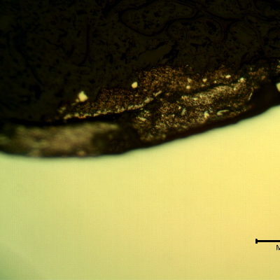 Micrographic detail of the plate section, as polished, close to the surface that suffered the impact.  The lead alloy melted and formed this gray deposit.