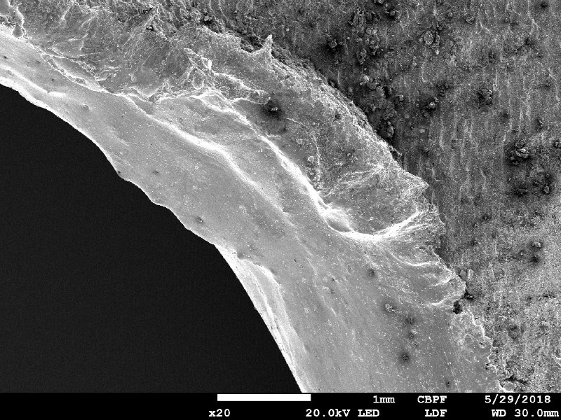 Detail of the margin of the perforated hole in the side where the projectil stroke the plate.  The smooth aspect in the hole (left side of the image) is generated by the melted material from the bullet.