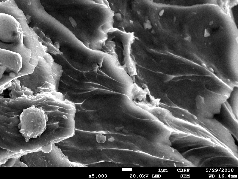 Detail of the ductile dimples of the plate shearing.