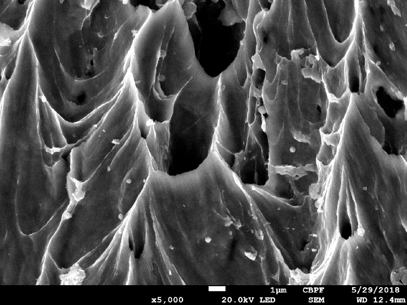 Fractographic detail of the ductile fracture generated by the projectile impact.  The material presented a sheared surface with elongated dimples.