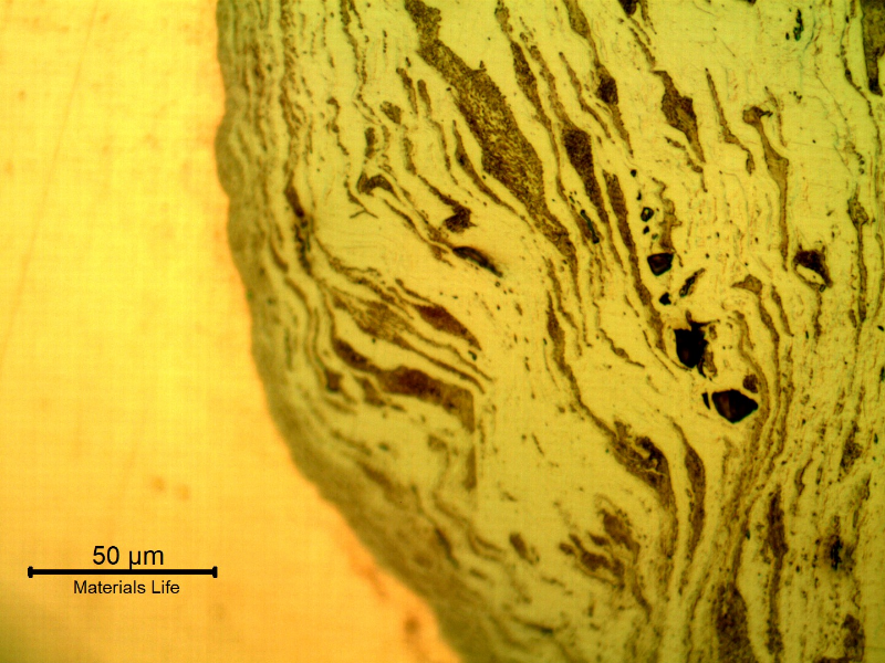 Cross-sectional view near the plate edge showing an elongated, banded microstructure with dark stringer inclusions deformed parallel to the cut surface.