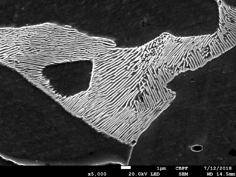Micrographic detail of the plate section, evidencing the non affected ferritic-pearlitic structure.