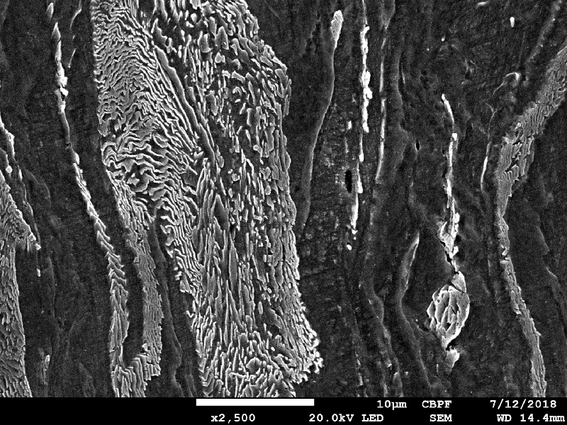 Micrography the ferritic-pearlitic structure close to the region where the projectile penetrate the plate.