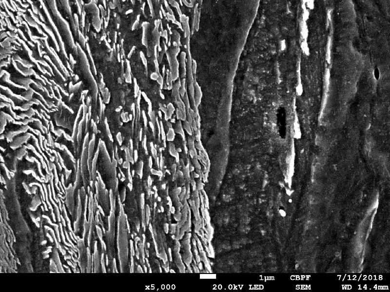 Micrographic detail of the ferritic-pearlitic structure close to the region where the projectile penetrate the plate.