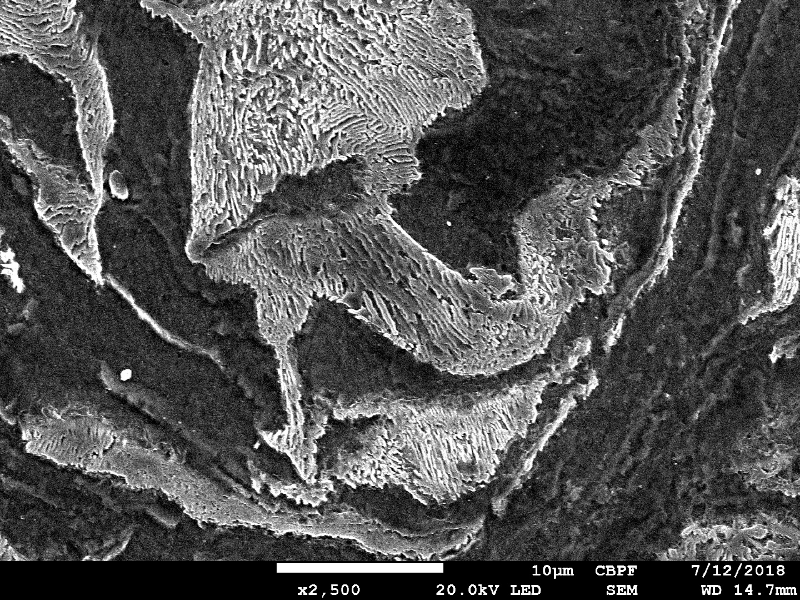 Micrography the ferritic-pearlitic structure close to the region where the projectile penetrate the plate.