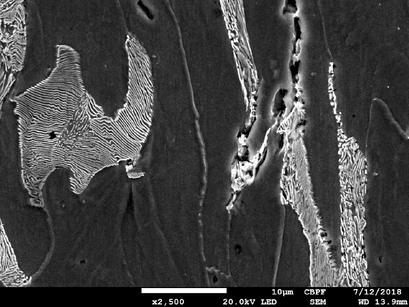 Micrographic detail of the ferritic-pearlitic structure close to the region where the projectile penetrate the plate. There are internal voids that are characteristic of a ductile microvoid formation.