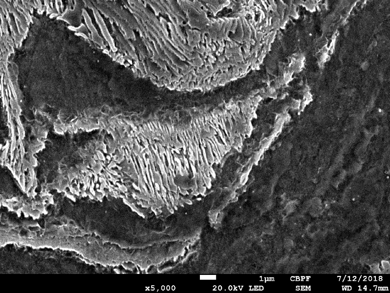 Micrographic detail of the ferritic-pearlitic structure close to the region where the projectile penetrate the plate.