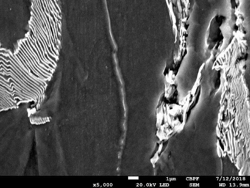 Micrographic detail of the ferritic-pearlitic structure close to the region where the projectile penetrate the plate. There are internal voids that are characteristic of a ductile microvoid formation.