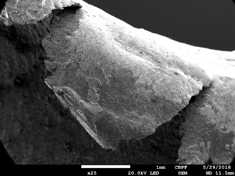 Detail of the margin of the perforated hole in the impact position.  It is interesting to observe extreme plastic deformation created by the perforation expulsing the material from the hole, in the direction of the impact.