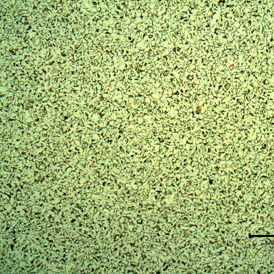 Micrography of the plate in a section, showing a ferritic-pearlitic microstructure in the middle of the thickness.